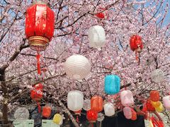-三里河公园