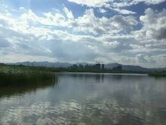 -永定河休闲森林公园