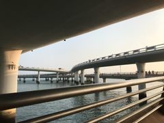 -演武大桥观景平台