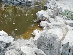 -山东师范大学(千佛山校区)