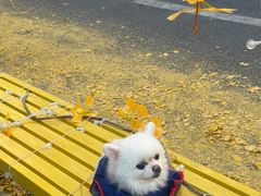 -半盆菜酒家(中山南一路店)