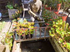 -老洋房花园饭店(绍兴路店)