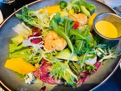 -bluefrog蓝蛙(恒隆广场店)