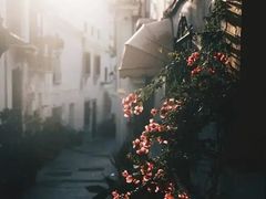 -MUJI无印良品(万科里店)