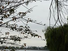 -东钱湖旅游度假区