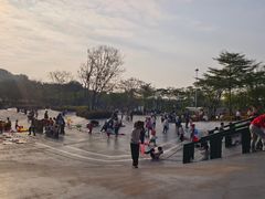 -王借岗森林公园