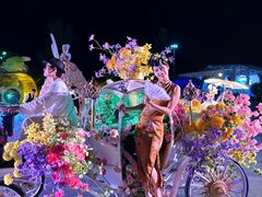 -荷兰花海