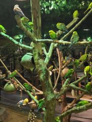 -酷嗒动物文化乐园(cutezoo西溪乐天城店)