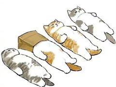 -黑皮牛杂面(金融港路店)