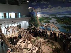 -自贡恐龙博物馆