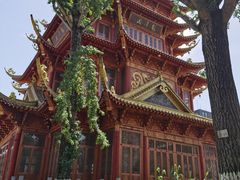 -龙潭水乡