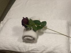 -比华利美容医院