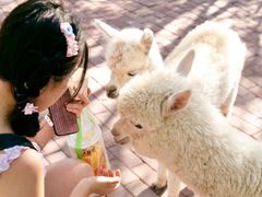 -水上乐园·欢乐世界