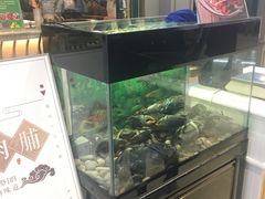 -金椰壳· 大厨新加坡菜(壹方城店)
