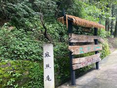 -寂照庵