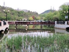 -大连植物园