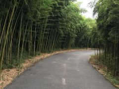 -杭州双溪漂流景区