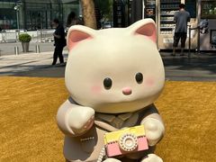 -深圳湾万象城(南山店)