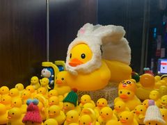 -金矿KTV(新会店)