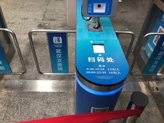 -武汉关码头(轮渡站)