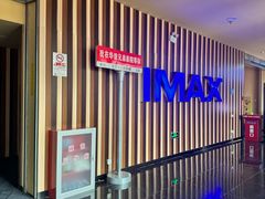 -华谊兄弟影院(IMAX洋桥店)