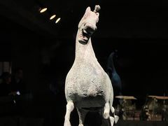 -甘肃省博物馆
