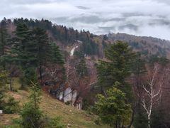 -老秃顶草原景区