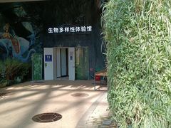 -花之城
