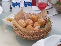 -梧桐