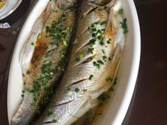 太湖清蒸白鱼-呼吸森林·生态农庄农家乐私房菜