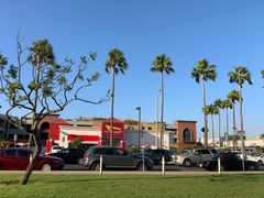 -In-N-Out Burger(LAX)