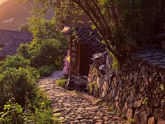 -杨家堂村