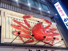 -蟹道乐(道顿堀本店)