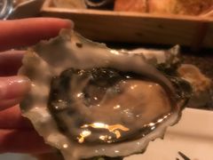 -斯普汇生蚝牛排馆(中骏世界城店)