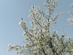 -西北湖绿化广场