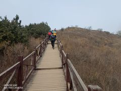 -阳台山自然风景区