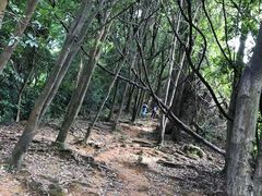 -火炉山森林公园