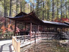 -本溪老边沟风景区