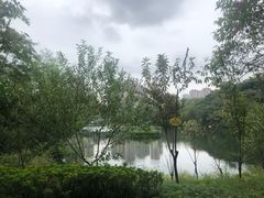-重庆彩云湖湿地公园