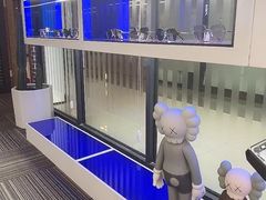 -鲸渝眼镜·浅目视光(春熙路店)
