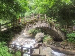 -西岭雪山大飞水景区
