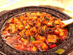 -陈麻婆豆腐总店