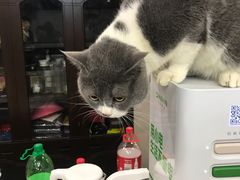 -夜烤·宜宾烧烤(洋河路店)