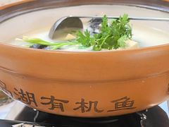 鱼头汤-宝荣鱼馆·临湖之宴(千岛湖店)