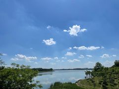 -丁香湖公园