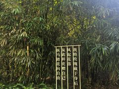 -云溪植物园