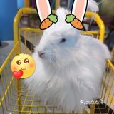 O这里是网红拍照打卡，闺蜜聚会