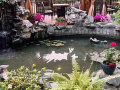 -漫渡庄绿岛花园•隐世庭园菜(滨湖店)