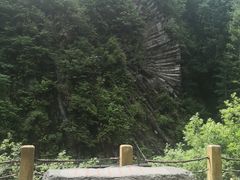 -望天鹅景区