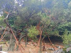 -草庵摩尼教遗址公园